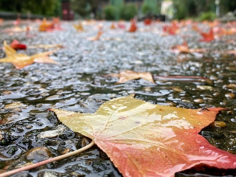 Осенняя Казань без зонта: культурные открытия под дождём